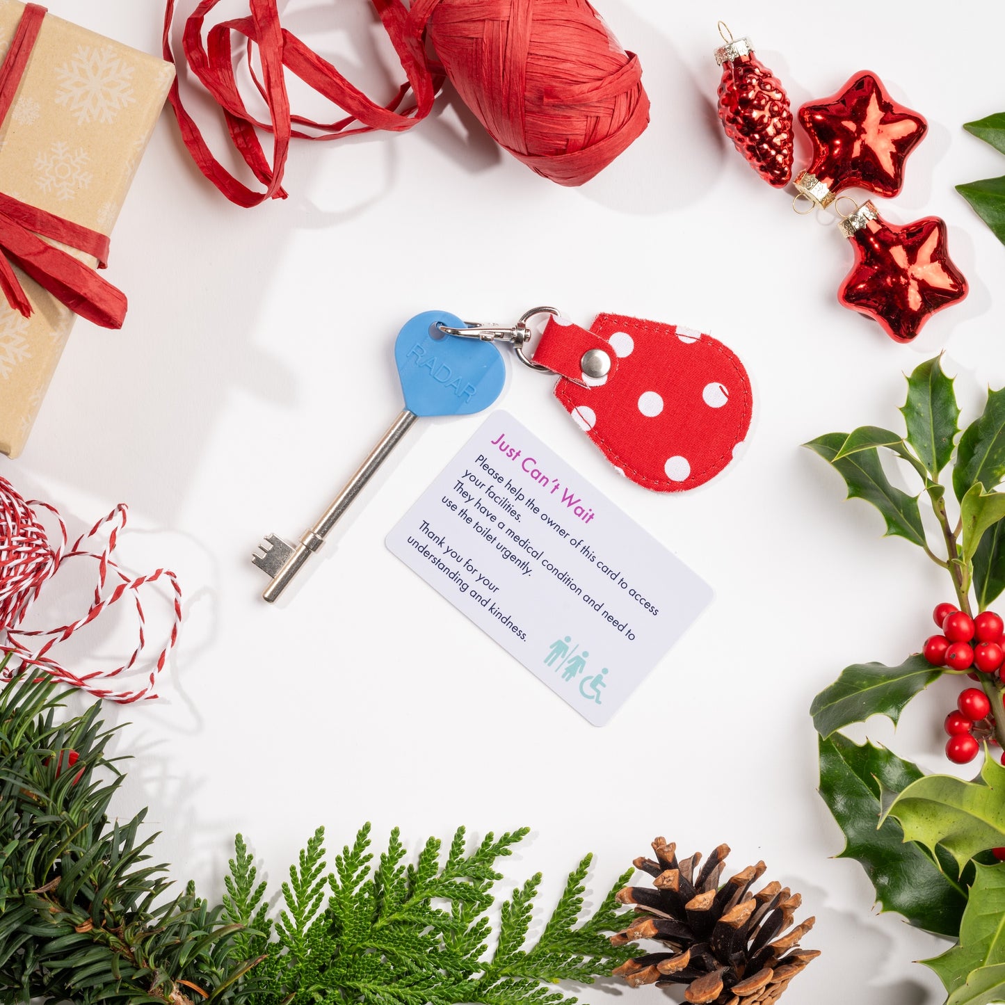 Genuine RADAR Disabled Toilet Key and Fabric Keyring in Spotty Red - UK Made