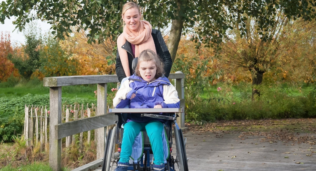 Woman pushing a child in a wheelchair across a wooden bridge in an autumn park
