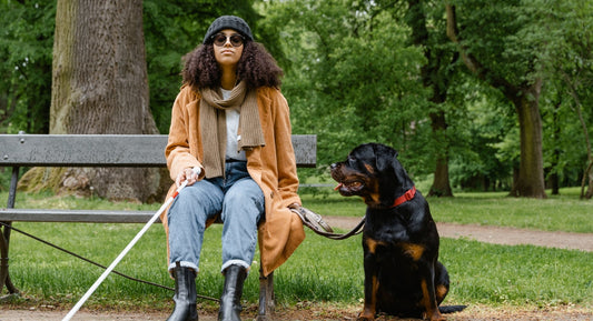 A woman holding a white cane sits on a park bench beside a Rottweiler.