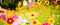Step Into Spring Prize Draw!