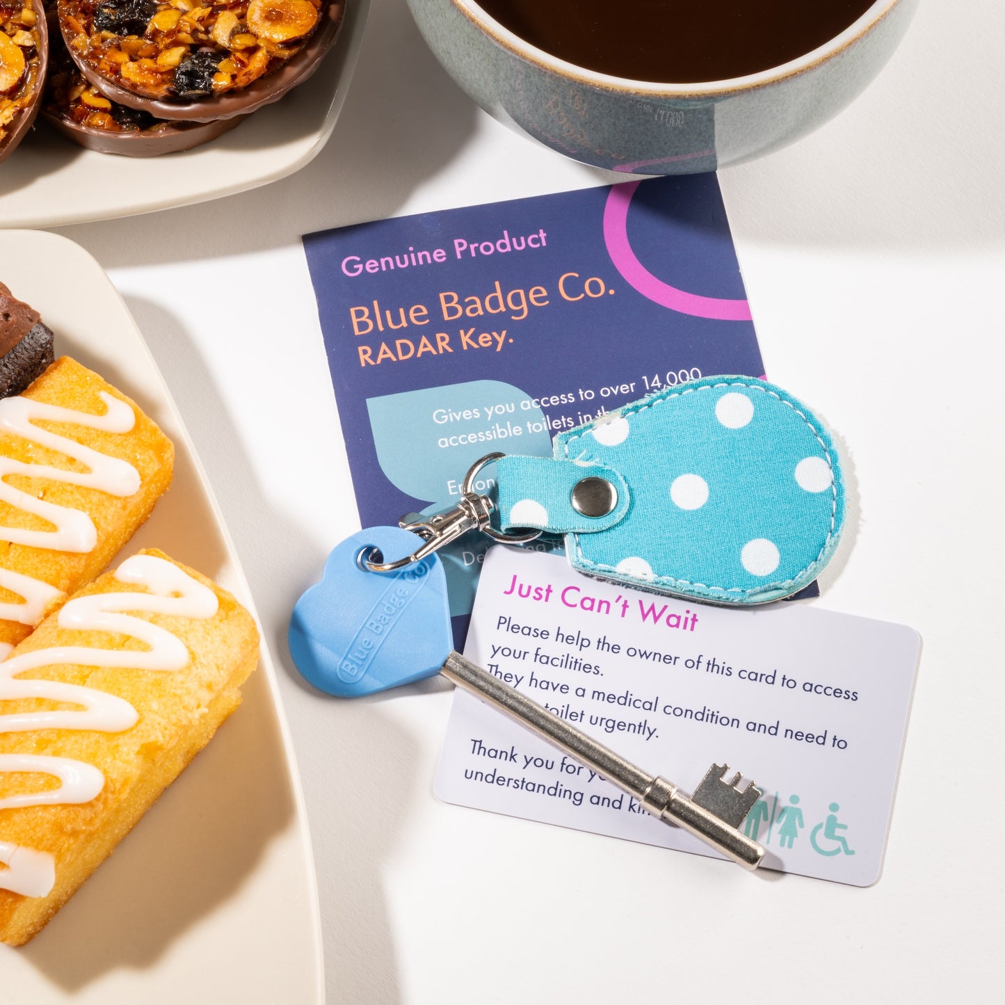 Genuine RADAR Disabled Toilet Key and Fabric Keyring in Spotty Aquamarine - UK Made