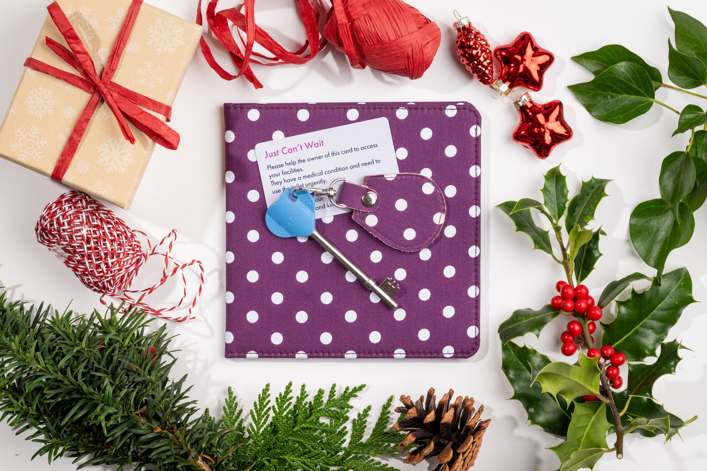 Disabled Blue Badge Wallet, Keyring and RADAR Key in Spotty Grape - UK Made