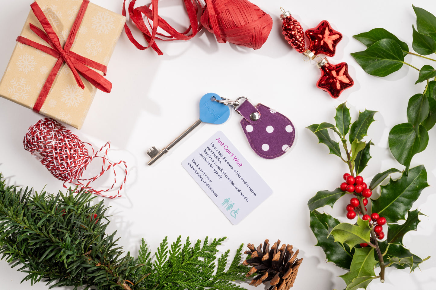 Genuine RADAR Disabled Toilet Key and Fabric Keyring in Spotty Grape - UK Made