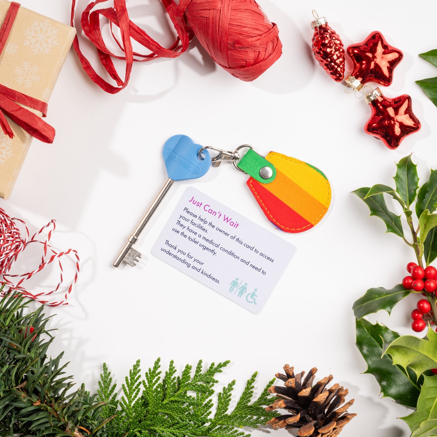 Genuine RADAR Disabled Toilet Key and Fabric Keyring in Rainbow Stripe - UK Made