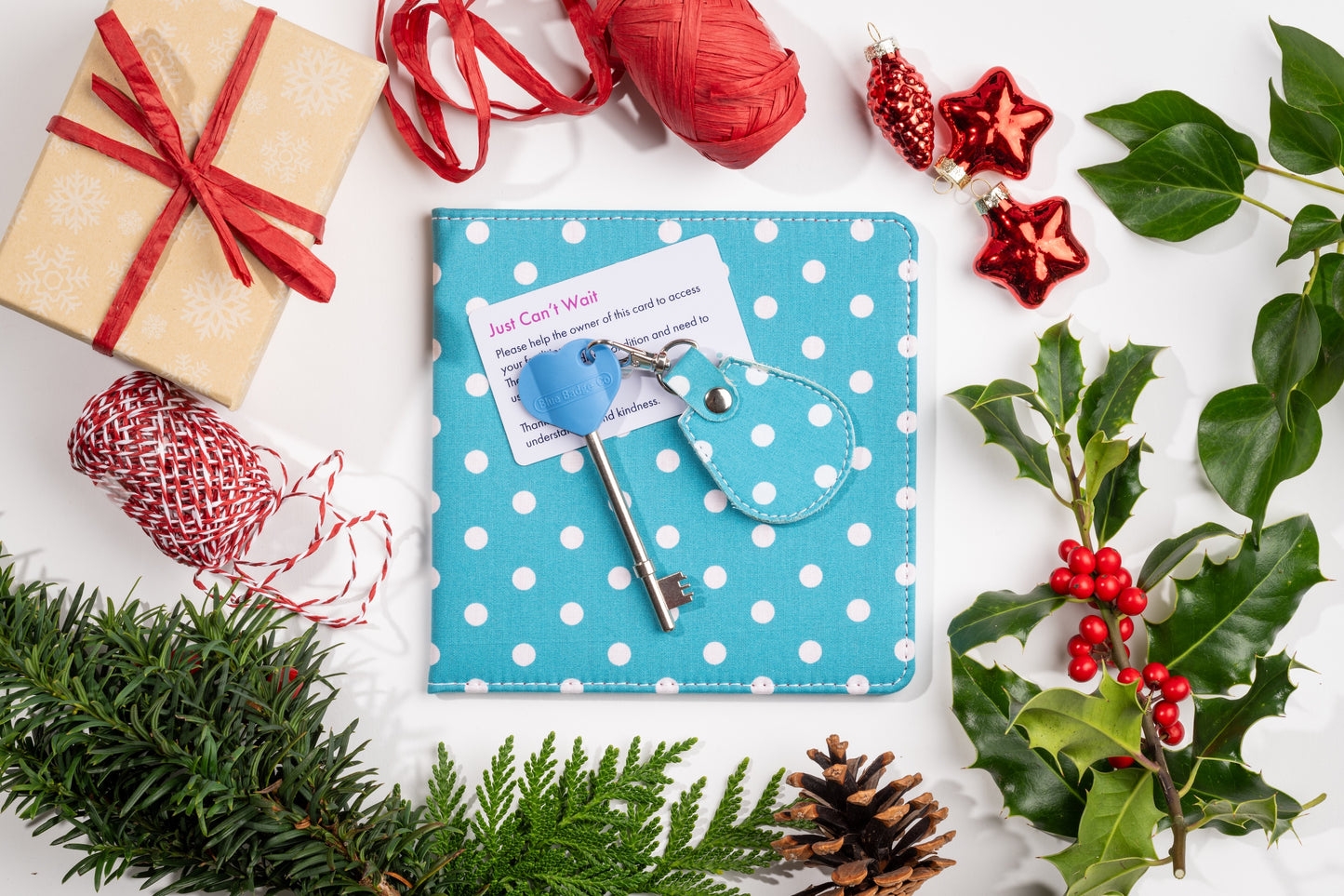 Disabled Blue Badge Wallet, Keyring and RADAR Key in Spotty Aquamarine - UK Made