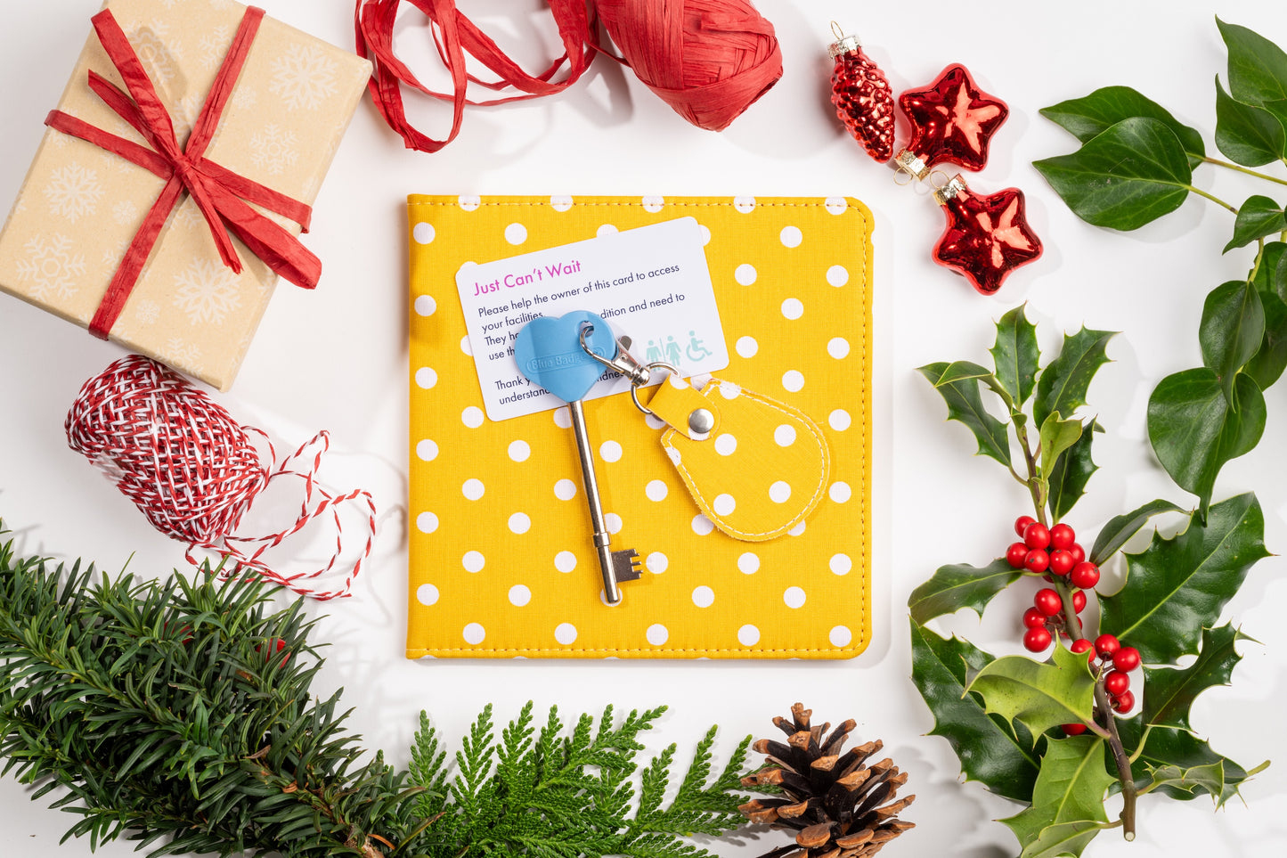 Disabled Blue Badge Wallet, Keyring and RADAR Key in Spotty Canary Yellow - UK Made