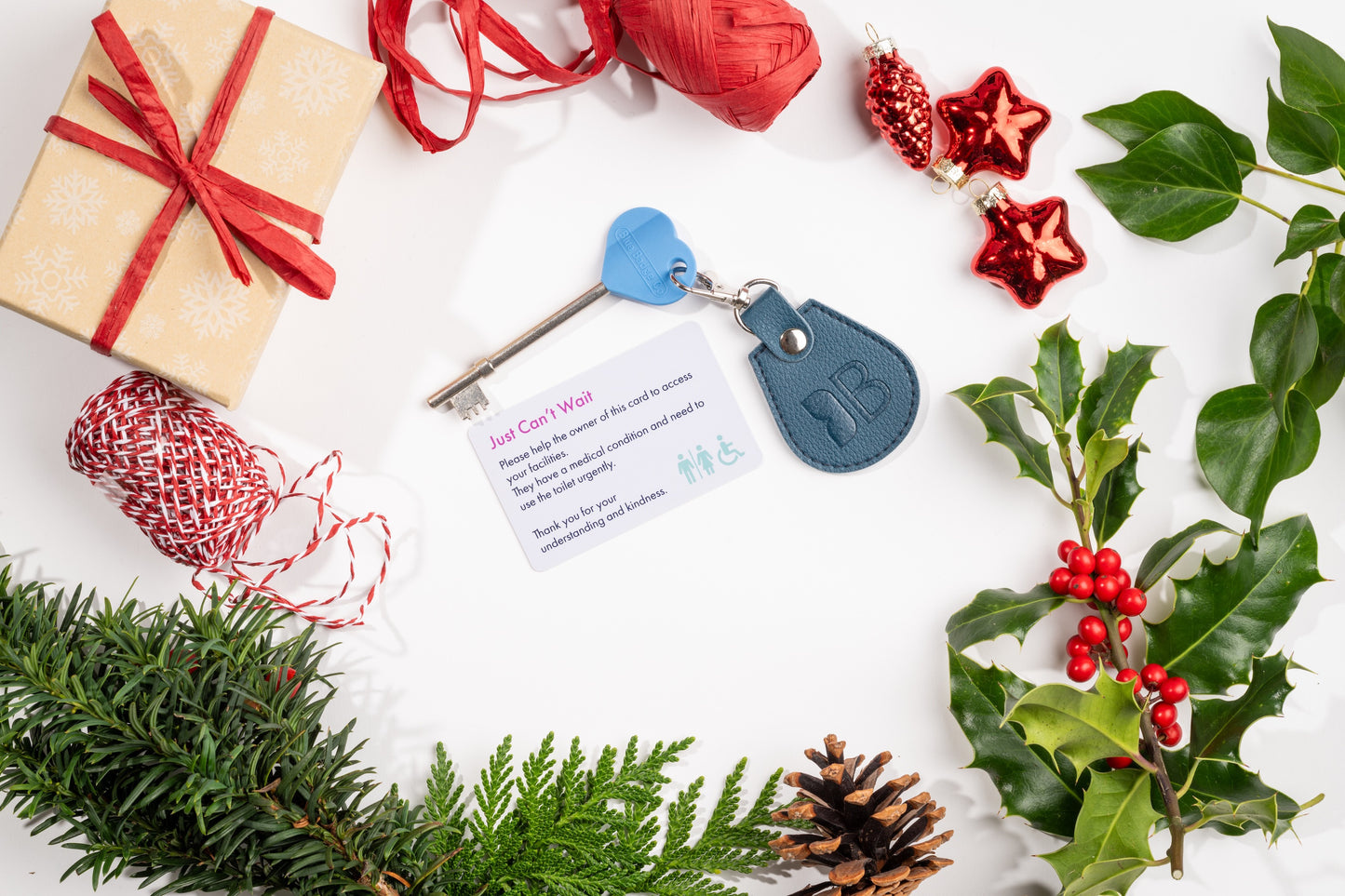 Recycled Bottles Keyring with Disabled Toilet RADAR Key in Peacock