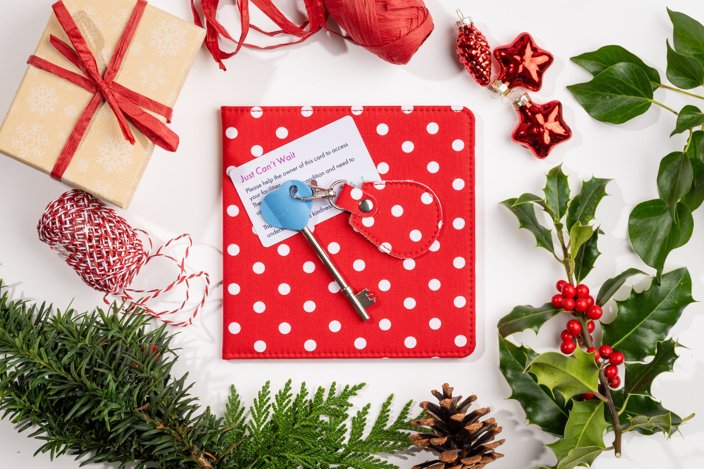 Disabled Blue Badge Wallet, Keyring and RADAR Key in Spotty Red - UK Made