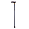 Folding Adjustable Walking Sticks - Blue Ice