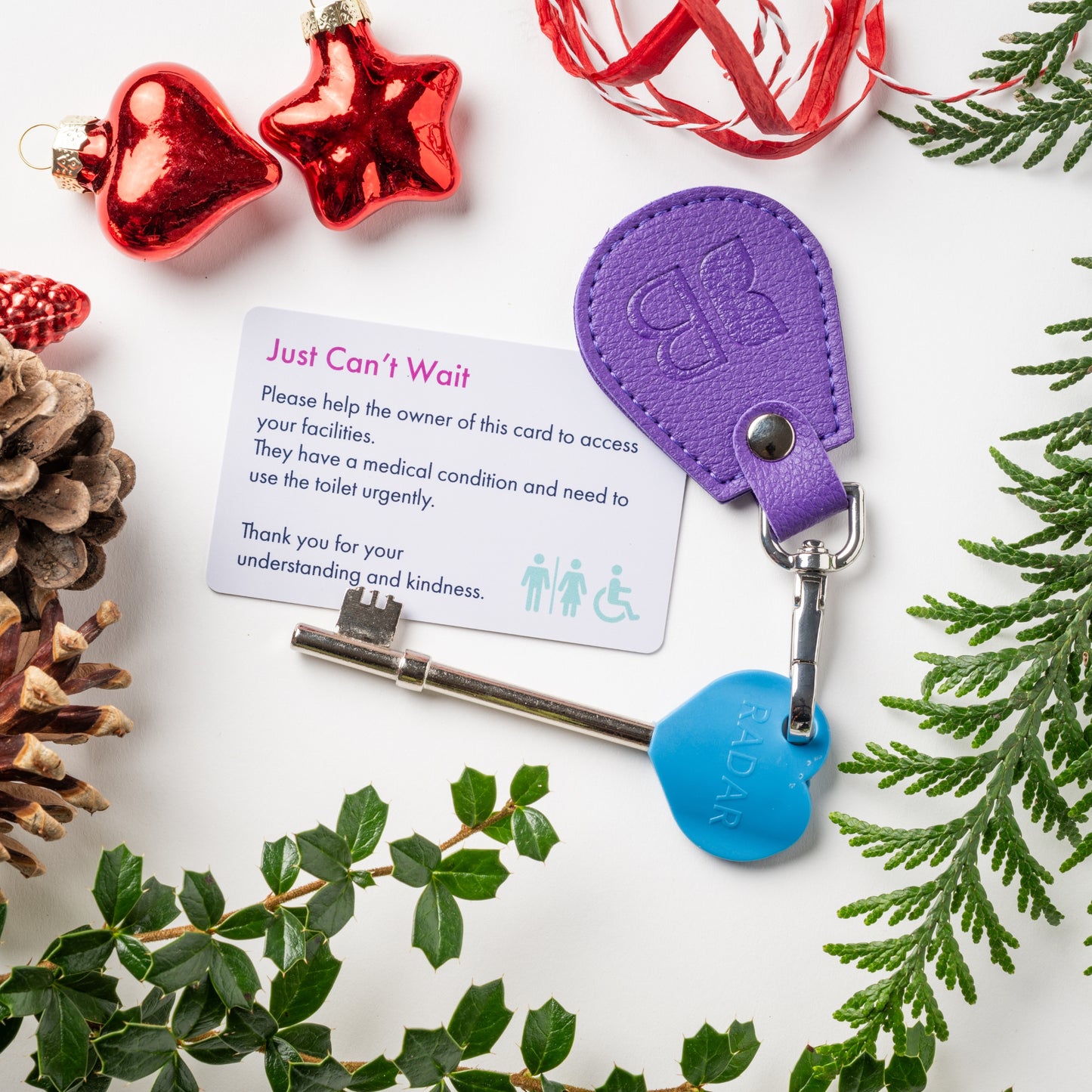 Recycled Bottles Keyring with Disabled Toilet RADAR Key in Purple